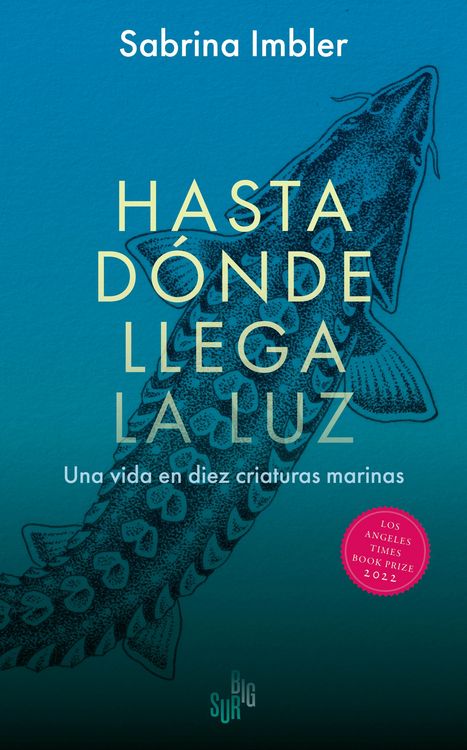Produktbild: Hasta d&oacute;nde llega la luz