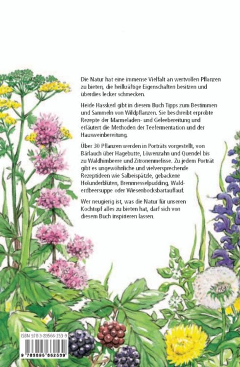 Produktbild: Holunder, Dost und G&auml;nsebl&uuml;mchen ...