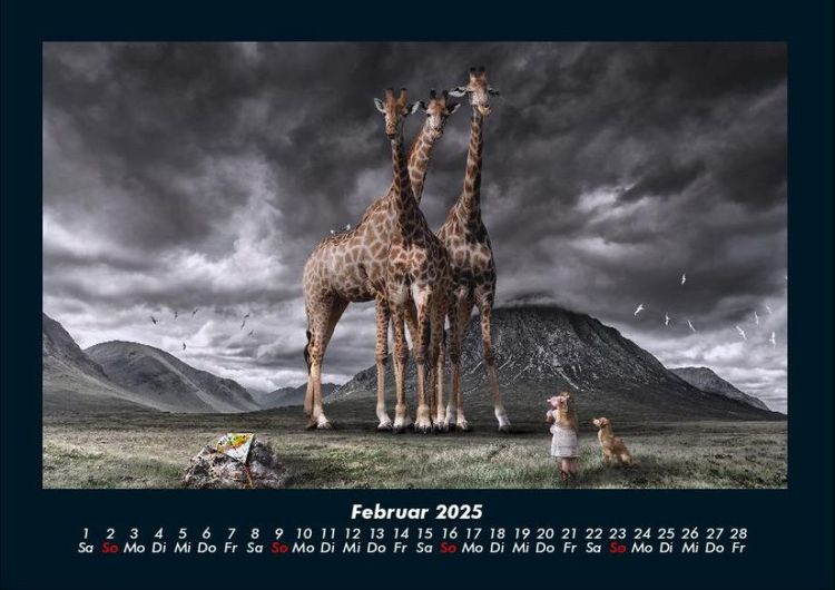 Produktbild: Mit Fantasy durch's Jahr 2025 Fotokalender DIN A4