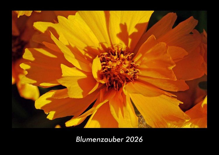 Produktbild: Blumenzauber 2026 Fotokalender DIN A3