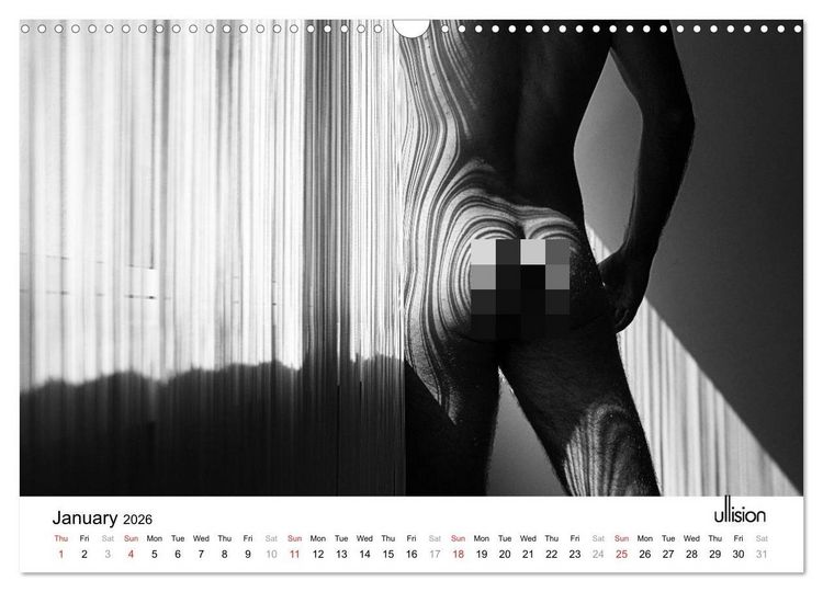 Produktbild: Male Nude Art (Wall Calendar 2026 DIN A3 landscape), CALVENDO 12 Month Wall Calendar