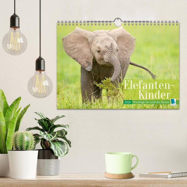 Produktbild: Elefanten Kinder: Winzlinge im Land der Riesen (Wandkalender 2026 DIN A4 quer), CALVENDO Monatskalender