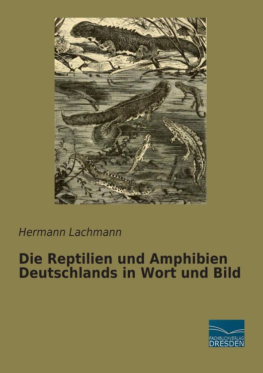 Produktbild: Die Reptilien und Amphibien Deutschlands in Wort und Bild