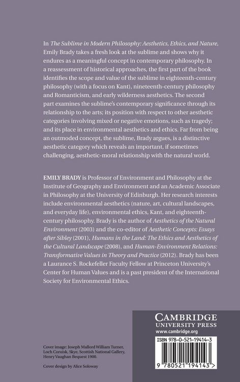 Produktbild: The Sublime in Modern Philosophy