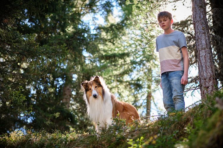 Produktbild: Lassie - Ein neues Abenteuer