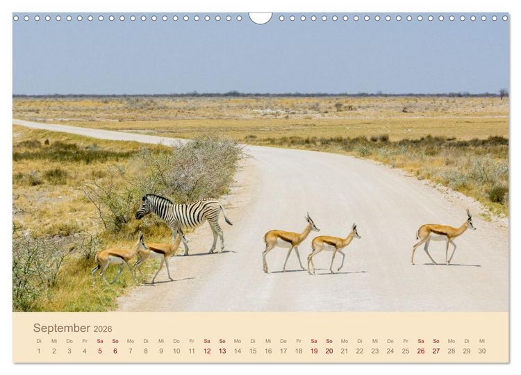 Produktbild: Einmalige Landschaften in Afrika (Wandkalender 2026 DIN A3 quer), CALVENDO Monatskalender
