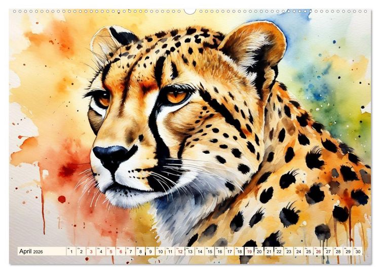 Produktbild: Zauberhafte Aquarelle von Afrikas Tierwelt (hochwertiger Premium Wandkalender 2026 DIN A2 quer), Kunstdruck in Hochglanz