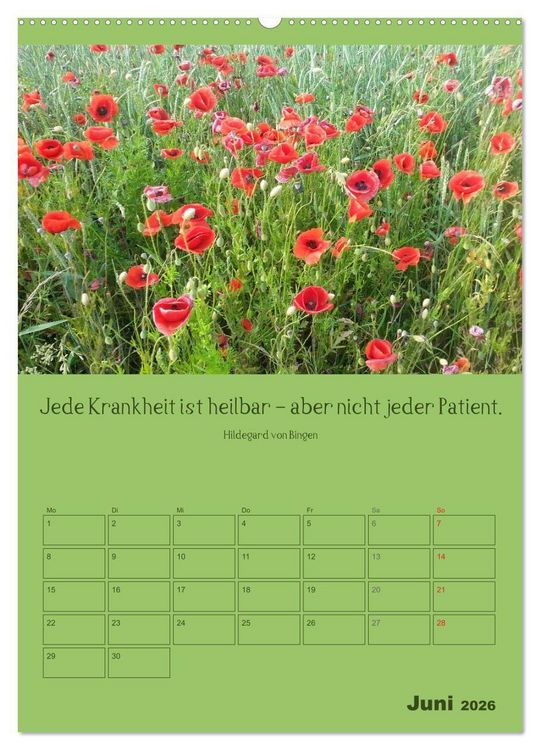 Produktbild: Erkenntnis und Weisheit - Hildegard von Bingen (hochwertiger Premium Wandkalender 2026 DIN A2 hoch), Kunstdruck in Hochglanz