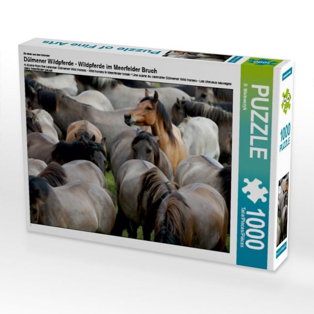 Produktbild: CALVENDO Puzzle Alles im Blick - D&uuml;lmener Wildpferde | 1000 Teile Lege-Gr&ouml;&szlig;e 64x48cm Foto-Puzzle f&uuml;r gl&uuml;ckliche Stunden