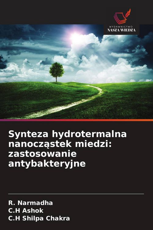 Produktbild: Synteza hydrotermalna nanocz&iquest;stek miedzi: zastosowanie antybakteryjne