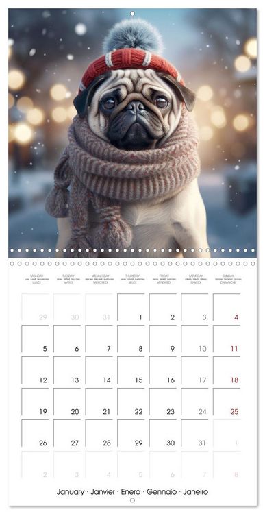 Produktbild: PUGS Cute and cuddly doggies (Wall Calendar 2026 12 &times; 12 Inch) CALVENDO 12 Month Wall Calendar