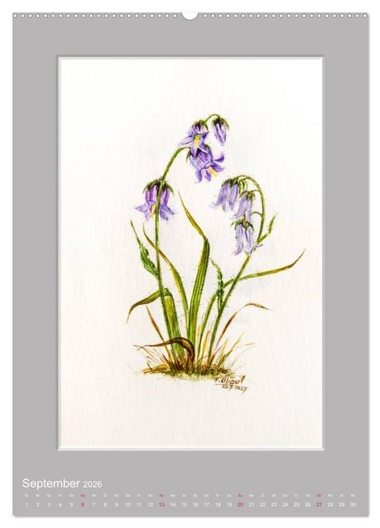 Produktbild: Alpenblumen Aquarelle aus Tirol (hochwertiger Premium Wandkalender 2026 DIN A2 hoch), Kunstdruck in Hochglanz
