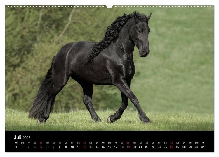 Produktbild: Friesen - Sch&ouml;nheit, Kraft und Eleganz (hochwertiger Premium Wandkalender 2026 DIN A2 quer), Kunstdruck in Hochglanz