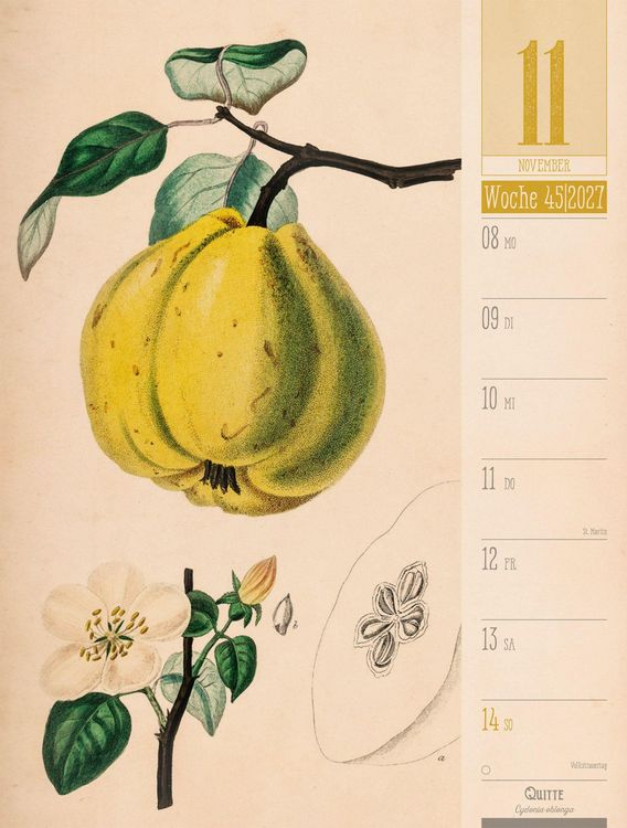 Produktbild: Culinarium Wochenplaner Kalender 2027 | K&uuml;che, Kr&auml;uter, Kurioses