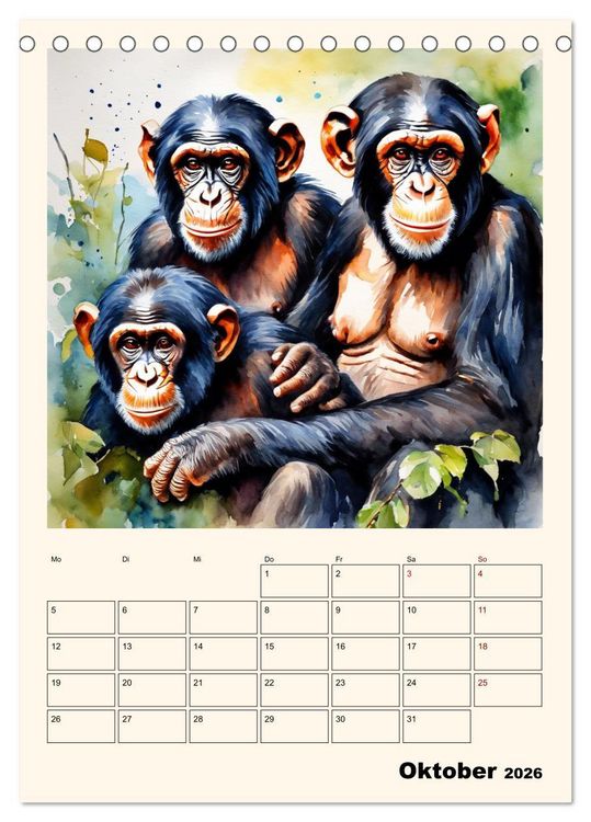 Produktbild: Schimpansen & Gorillas (Tischkalender 2026 DIN A5 hoch), CALVENDO Monatskalender