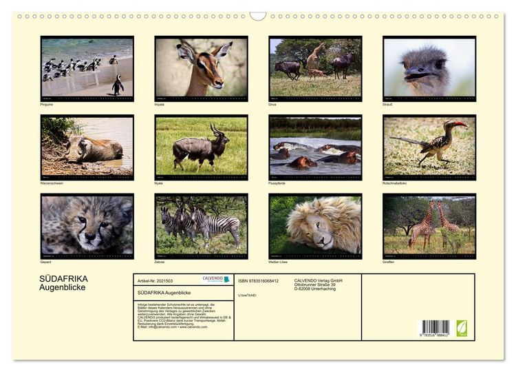 Produktbild: S&Uuml;DAFRIKA Augenblicke (Wandkalender 2026 DIN A2 quer), CALVENDO Monatskalender