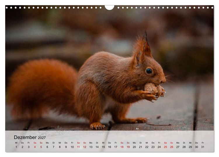 Produktbild: Magische Tiermomente (Wandkalender 2027 DIN A3 quer), CALVENDO Monatskalender