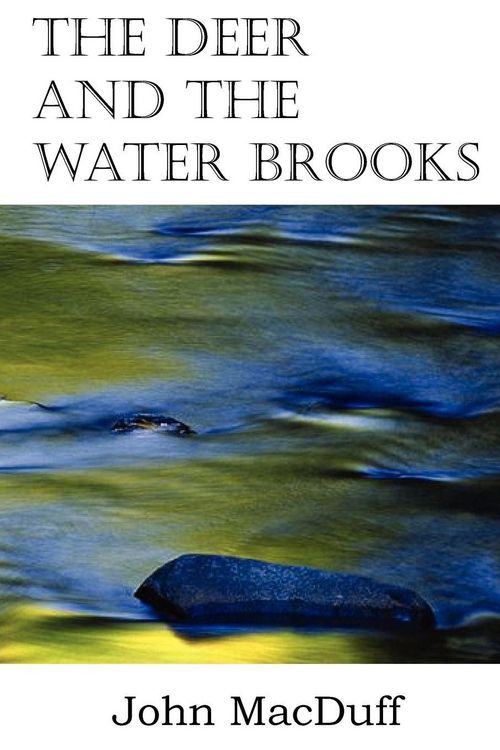 Produktbild: The Deer and the Water Brooks