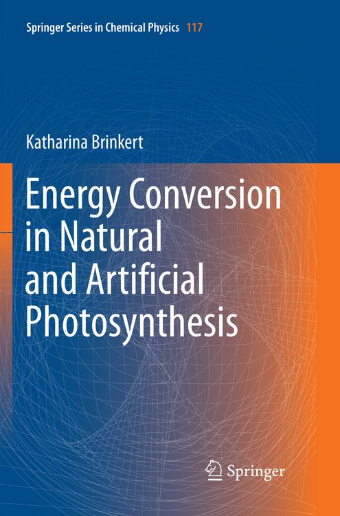 Produktbild: Energy Conversion in Natural and Artificial Photosynthesis