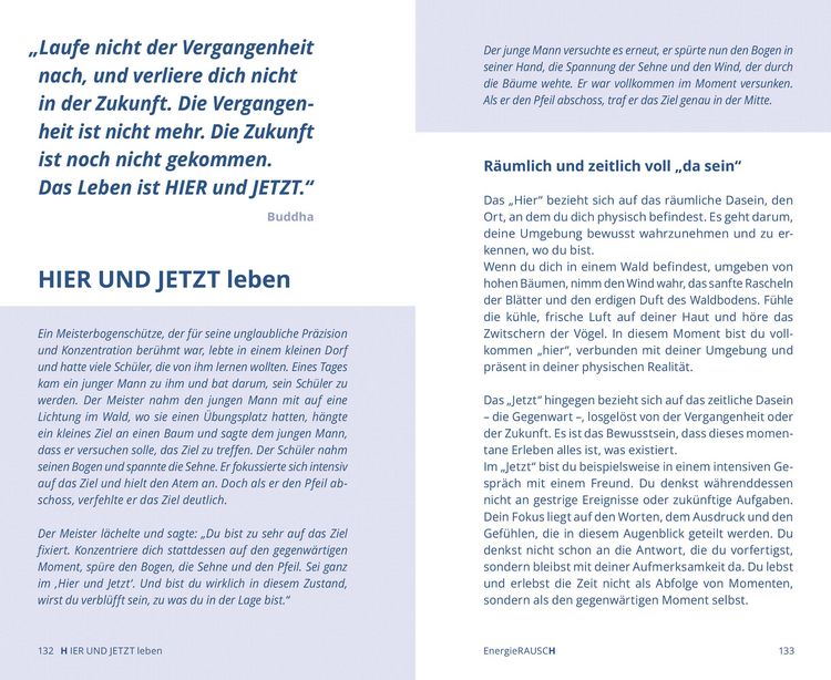Produktbild: EnergieRAUSCH &ndash; Schluss mit Antriebslosigkeit, Stress und Sorgen