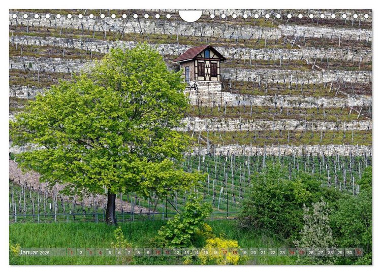 Produktbild: Weinbergh&auml;uschen - Schutz- und Werkzeughaus f&uuml;r den Weing&auml;rtner (Wandkalender 2026 DIN A4 quer), CALVENDO Monatskalender
