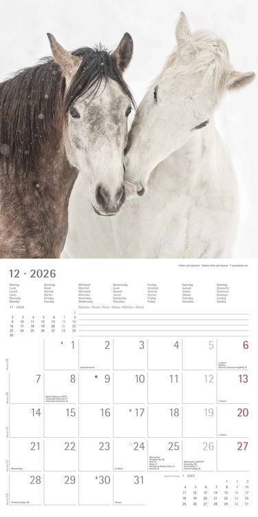 Produktbild: Pferde 2026 - Broschürenkalender 30x30 cm (30x60 geöffnet) - Kalender mit Platz für Notizen - Horses - Bildkalender - Wandplaner - Pferdekalender