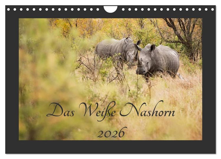 Produktbild: Das Wei&szlig;e Nashorn (Wandkalender 2026 DIN A4 quer), CALVENDO Monatskalender