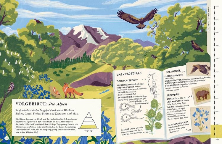 Produktbild: Besteige den Berg in diesem Buch