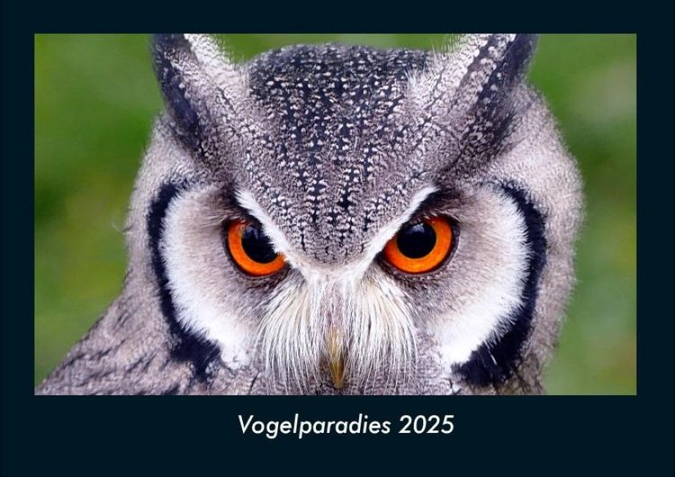 Produktbild: Vogelparadies 2025 Fotokalender DIN A4