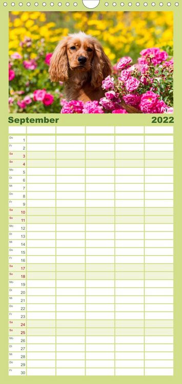 Produktbild: Familienplaner English Cocker Spaniel - Fr&ouml;hliche Gesellen (Wandkalender 2022 , 21 cm x 45 cm, hoch)