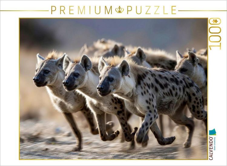 Produktbild: CALVENDO Puzzle Ein Rudel auf der Flucht | 1000 Teile Lege-Gr&ouml;&szlig;e 64x48cm Foto-Puzzle f&uuml;r gl&uuml;ckliche Stunden