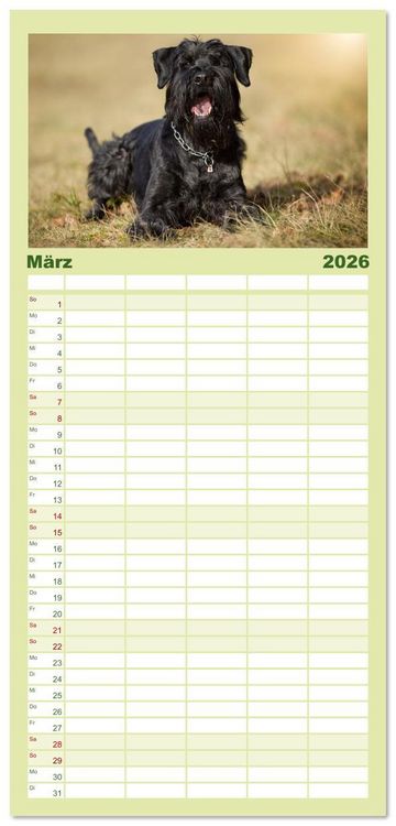 Produktbild: Familienplaner 2026 - Mit dem Riesenschnauzer durch das Jahr mit 5 Spalten (Wandkalender, 21 x 45 cm) CALVENDO