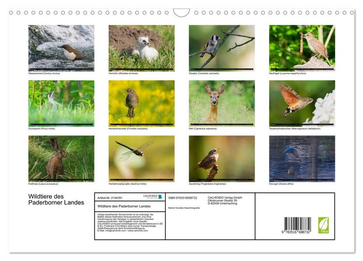 Produktbild: Wildtiere des Paderborner Landes (Wandkalender 2026 DIN A3 quer), CALVENDO Monatskalender