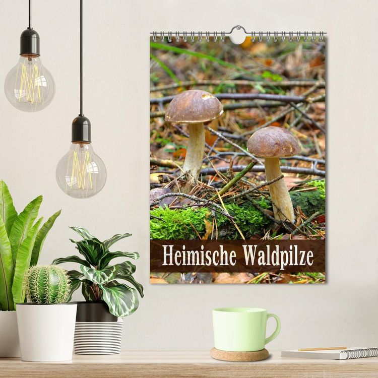 Produktbild: Heimische Waldpilze (Wandkalender 2026 DIN A4 hoch), CALVENDO Monatskalender