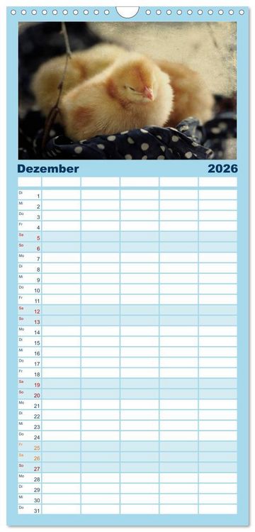 Produktbild: Familienplaner 2026 - K&uuml;ken in der Kinderstube mit 5 Spalten (Wandkalender, 21 x 45 cm) CALVENDO