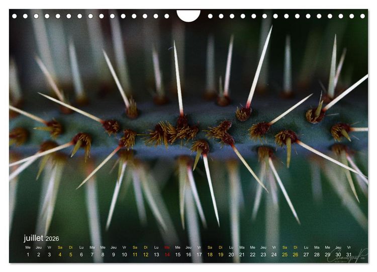 Produktbild: Au c&oelig;ur d&rsquo;une nature color&eacute;e (Calendrier mural 2026 DIN A4 vertical), CALVENDO calendrier mensuel