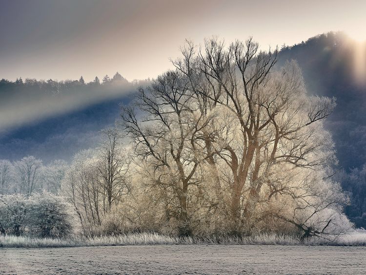 Produktbild: CALVENDO Puzzle Frostige Weiden an der Altm&uuml;hl | 1000 Teile Lege-Gr&ouml;&szlig;e 64x48cm Foto-Puzzle f&uuml;r gl&uuml;ckliche Stunden