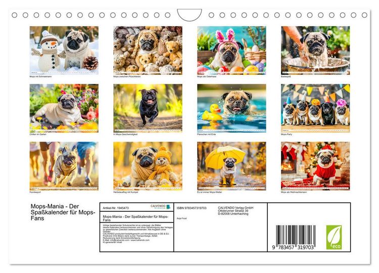 Produktbild: Mops-Mania - Der Spa&szlig;kalender f&uuml;r Mops-Fans (Wandkalender 2026 DIN A4 quer), CALVENDO Monatskalender