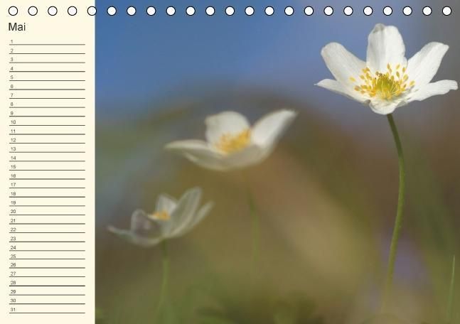 Produktbild: Geburtstagskalender "Nette Kleinigkeiten" (Tischkalender immerw&auml;hrend DIN A5 quer)