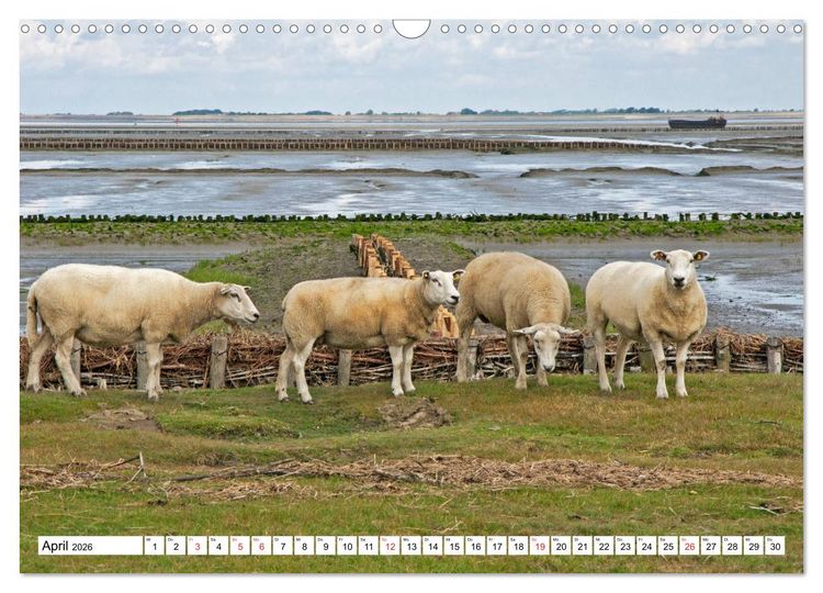 Produktbild: Die Nordsee zwischen Stade und Pellworm (Wandkalender 2026 DIN A3 quer), CALVENDO Monatskalender