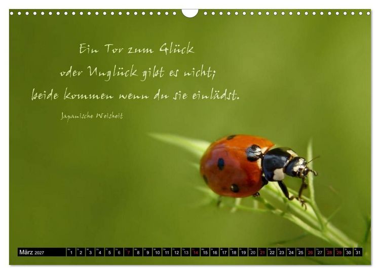 Produktbild: Das kleine, gro&szlig;e Gl&uuml;ck (Wandkalender 2027 DIN A3 quer), CALVENDO Monatskalender