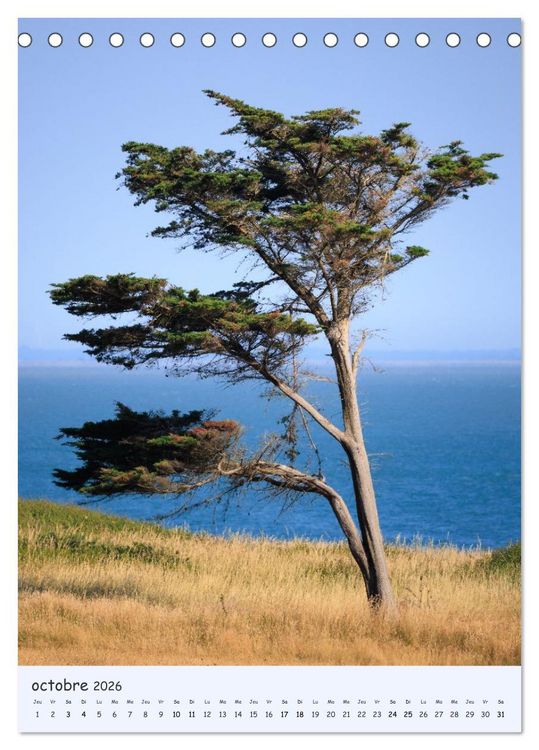 Produktbild: Arbres solitaires (Calendrier de bureau 2026 DIN A5 horizontal), CALVENDO calendrier mensuel