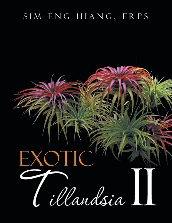 Produktbild: Exotic Tillandsia II