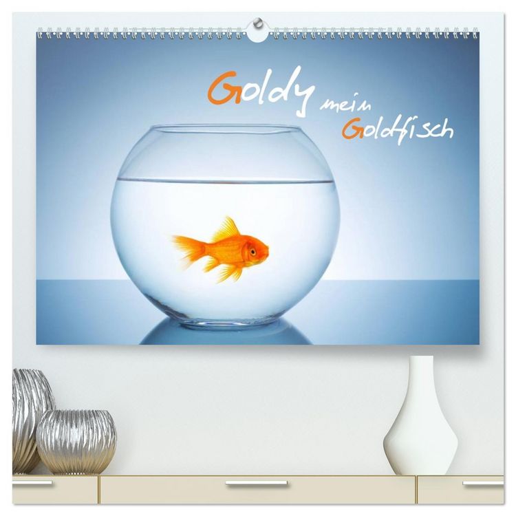 Produktbild: Goldy - mein Goldfisch (hochwertiger Premium Wandkalender 2026 DIN A2 quer), Kunstdruck in Hochglanz