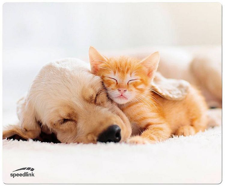 Produktbild: SPEEDLINK SILK Mousepad, Dog & Cat
