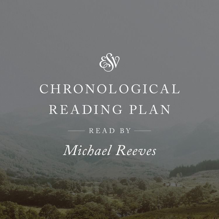 Produktbild: ESV Audio Bible, Chronological Reading Plan, Read by Michael Reeves