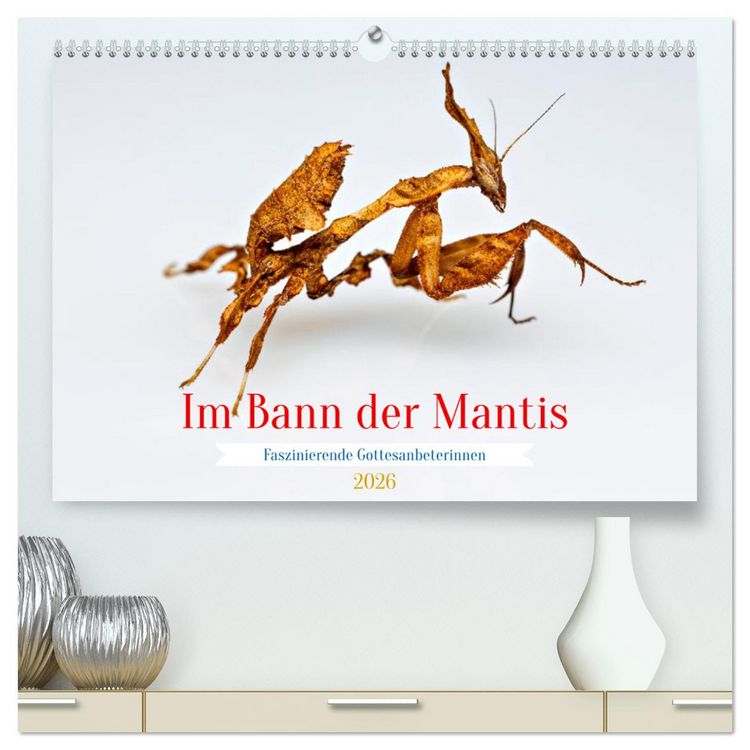 Produktbild: Im Bann der Mantis (hochwertiger Premium Wandkalender 2026 DIN A2 quer), Kunstdruck in Hochglanz