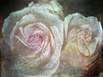 Produktbild: CALVENDO Puzzle Romantische Rosen - Shabby Chic Style | 1000 Teile Lege-Gr&ouml;&szlig;e 64x48cm Foto-Puzzle f&uuml;r gl&uuml;ckliche Stunden