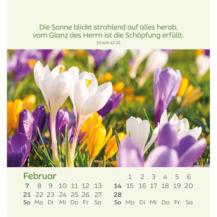 Produktbild: Kleine Blumengr&uuml;&szlig;e 2027