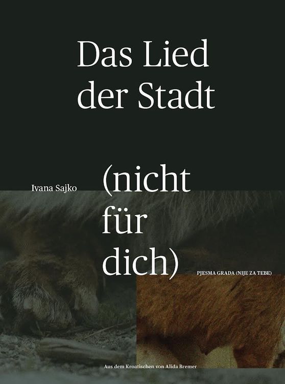 Produktbild: Das Lied der Stadt (nicht f&uuml;r dich)